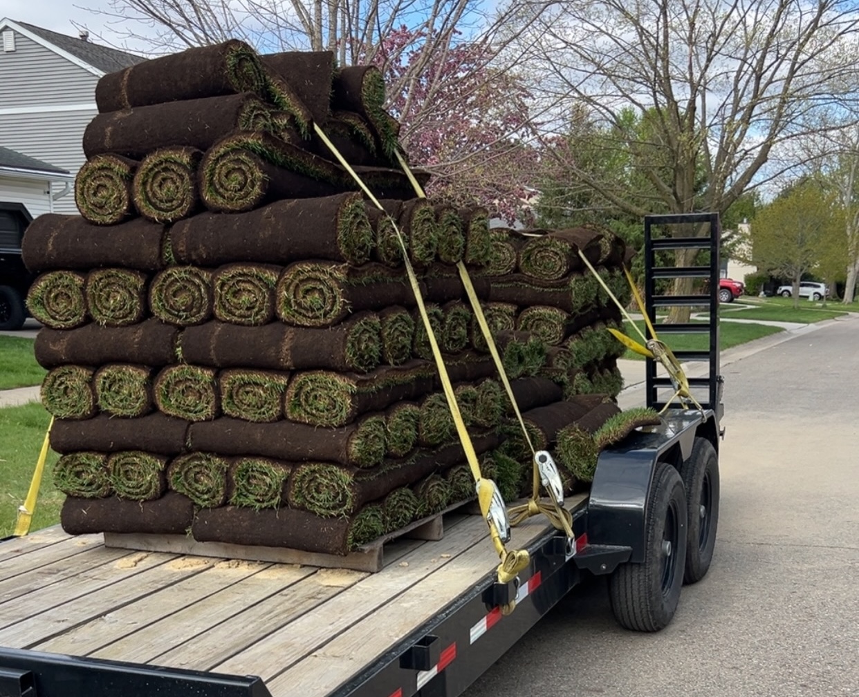 Sod Installation
